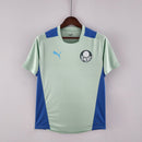 Camisa SE Palmeiras 2022/23 Training