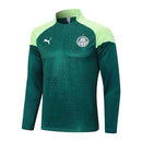 Conjunto de Treino SE Palmeiras 2024-25