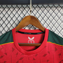 Camisa Wolverhampton 2023/24 Away