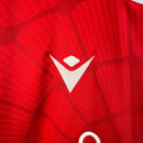 Camisa Crystal Palace 2023/24 Home